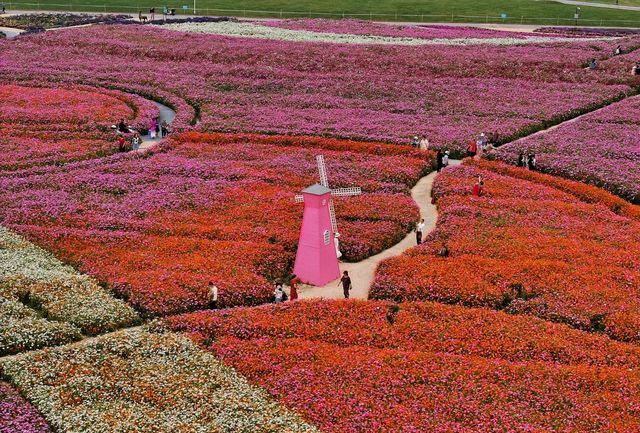 最美的銅鑑湖花海