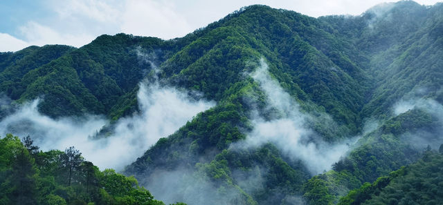 私藏路線真後悔沒有早點發現這家絕美的民宿