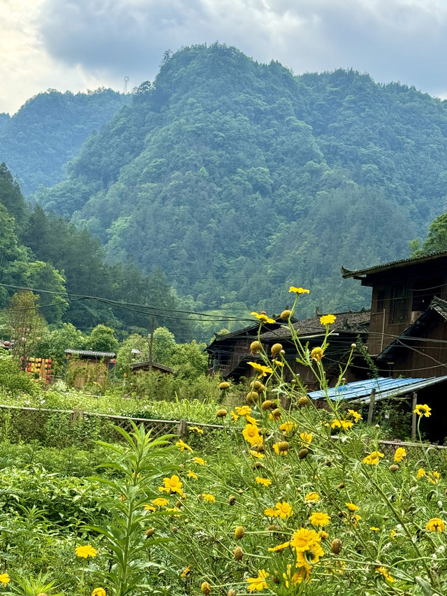 土家十三寨景區