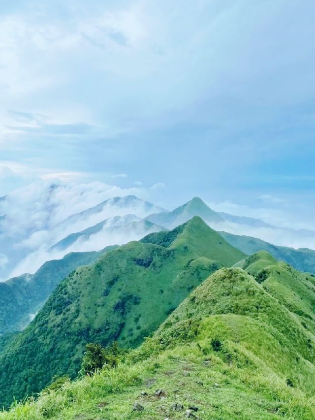 這裡既不是新疆，也不是武功山，是茂名三官山