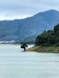 遠方不遠只要心之所向第二十二篇～～饒平東坑村