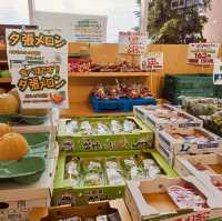 逛逛日本札幌三井奧特萊斯