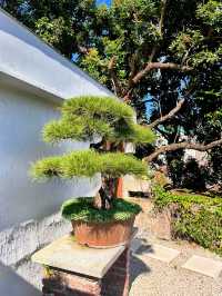 信我！這家西街南洋風民宿真的巨巨巨好住