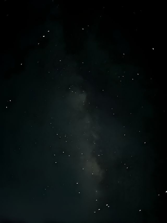 這波九頂山賺麻了