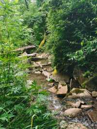 麟山探秘｜巔山千佛朝如來
