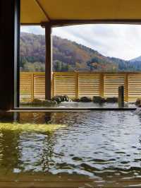 🏯 Gifu Getaway: Onyado Yuinosho's Hot Spring Haven 🌄