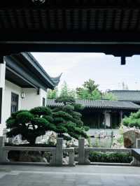 家人們誰懂啊 不出成都也能住進蘇式園林