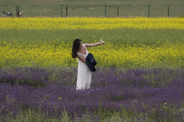 【칭하이 간쑤 자가용 여행 시리즈 27】-칭하이 '칭하이호'