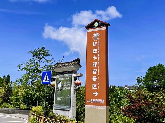 重慶周邊避暑|這裡是21℃的夏天，森林物語
