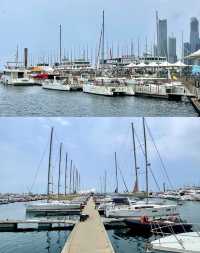 青島必打卡～五四廣場奧帆中心
