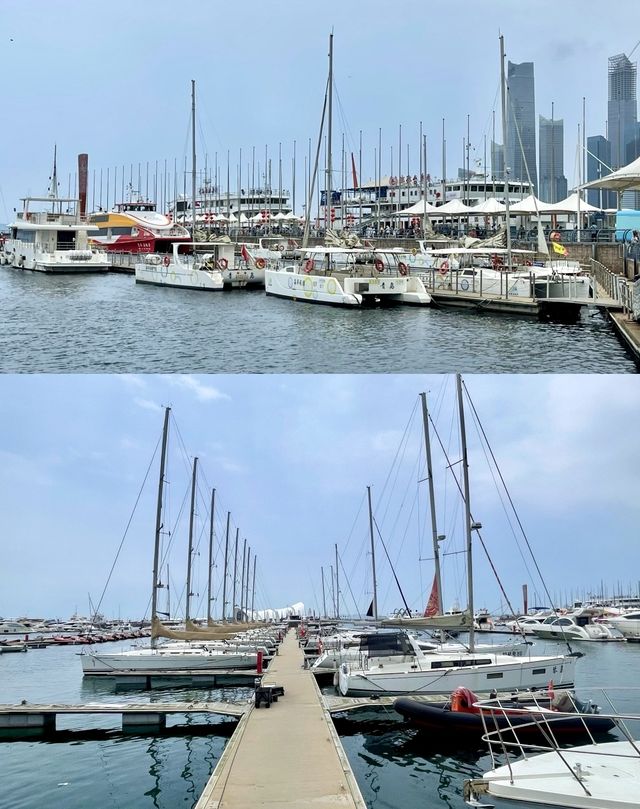 青島必打卡～五四廣場奧帆中心