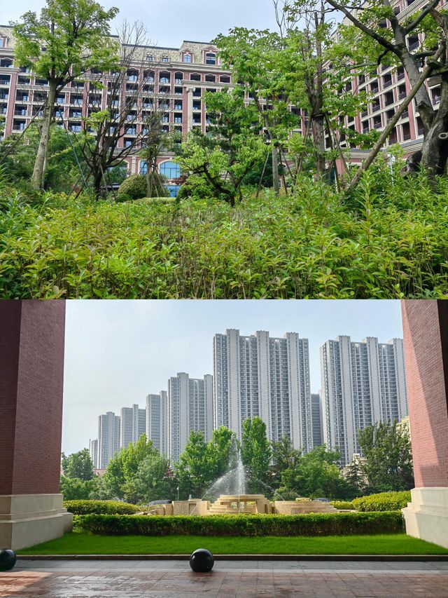 窮遊黨激動哭了，來青島一定要住這家！