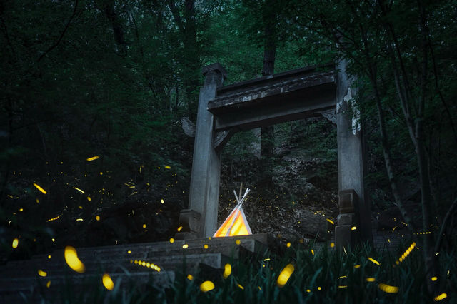 in南京｜與螢火蟲 共振的夏天