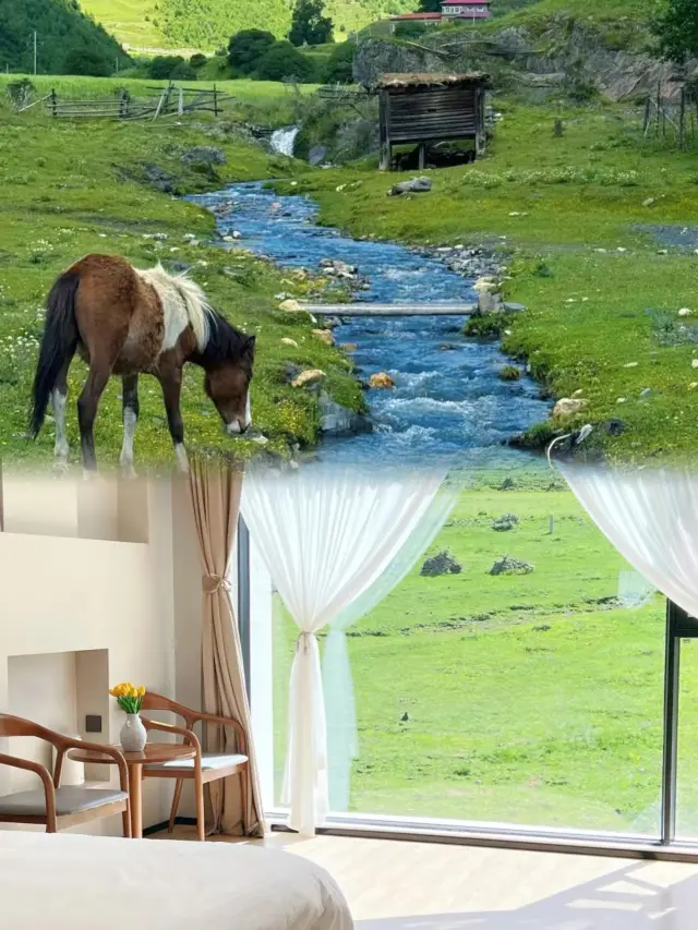 川西已回!真不建議8、9月去， 因為