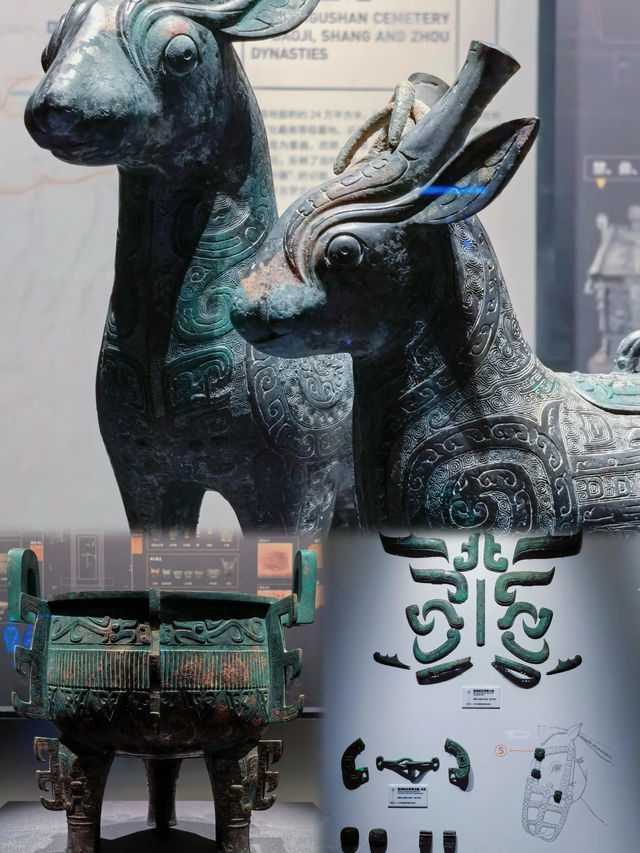 探秘陝西考古博物館：超越“平替”的考古之旅