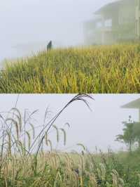 隱匿於重慶墊江的山頂雲霧民宿|飛茑集