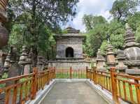 黑神話悟空第3章終生靈岩寺，世界自然文化遺產