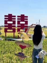 沈陽的稻夢空間。