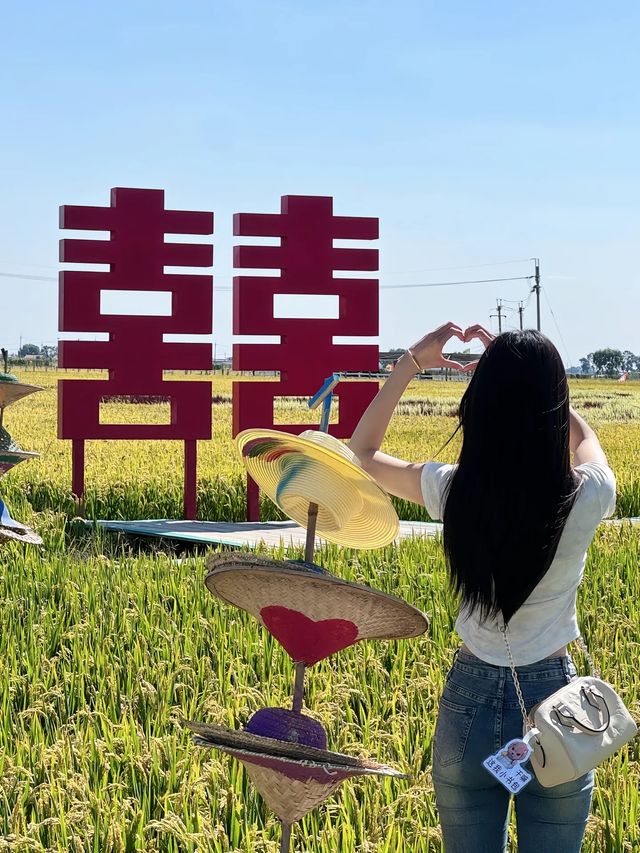 沈陽的稻夢空間。