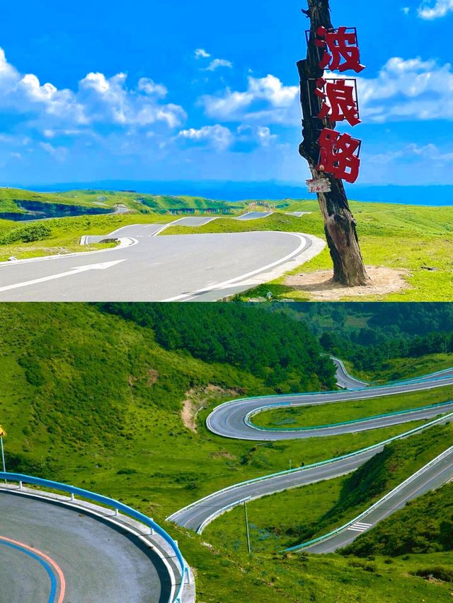 阿西里西大草原遊玩體驗分享