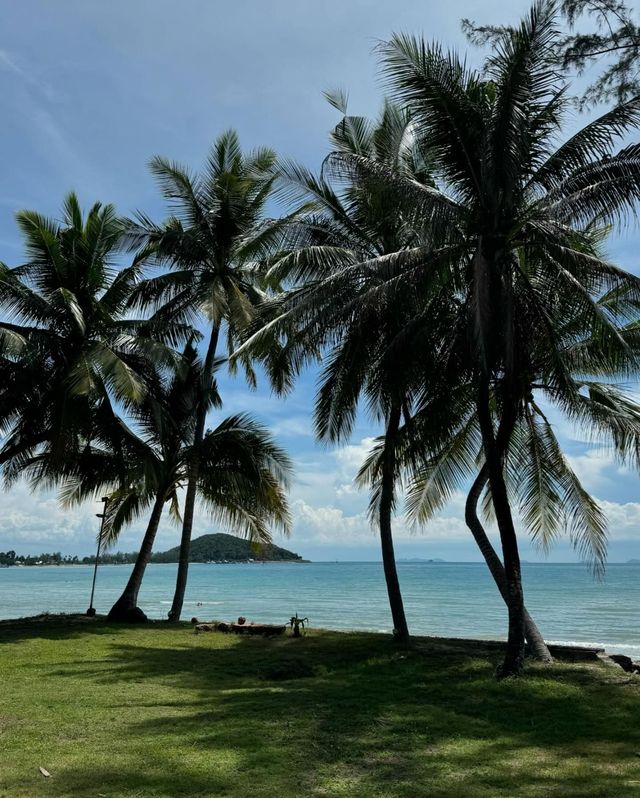 蘇梅島尼基海灘度假村，邂逅慢時光