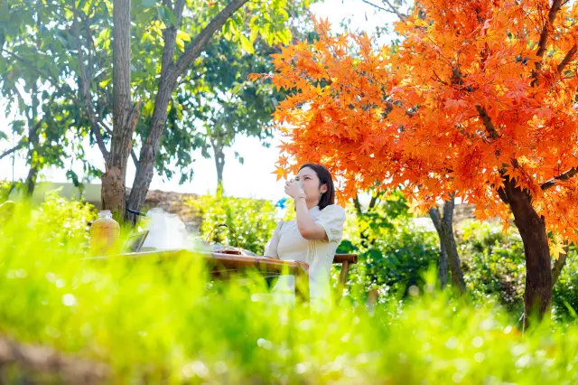 Anji's New Hidden Gem Camping Site
Jisu·Meow Jike Music Camp