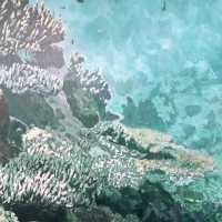 海之蒼穹