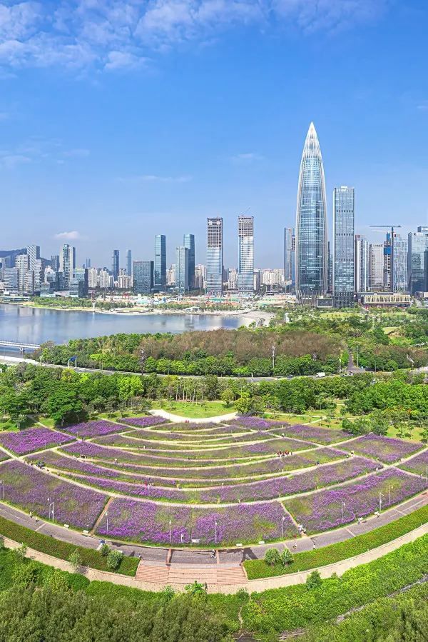 🌅深圳灣公園：一見傾心的美景攻略