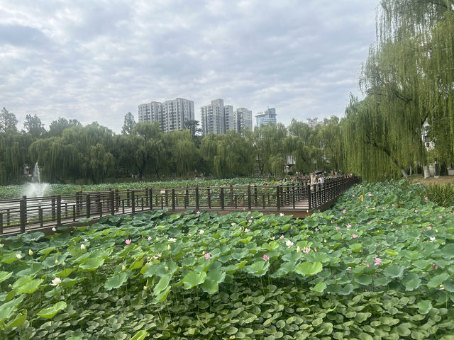 西安興慶宮公園小記。