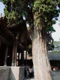 汾城城隍廟，跟着黑神話悟空遊古建。