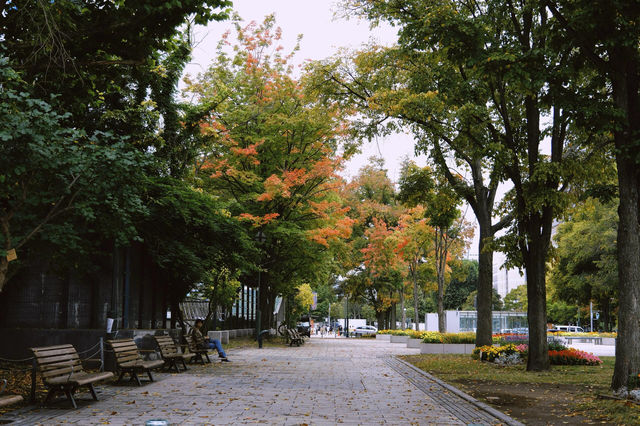 札幌｜4小時函館到札幌，行走在北海道的秋天。