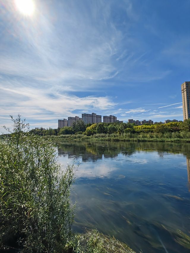 涼水河河濱公園。