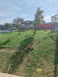 蘭州動物園，宛如一座隱藏在城市中的自然寶藏。