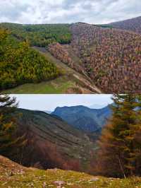 麻田嶺遠足 人生是曠野，不是軌道，以此紀念運動量爆表的。