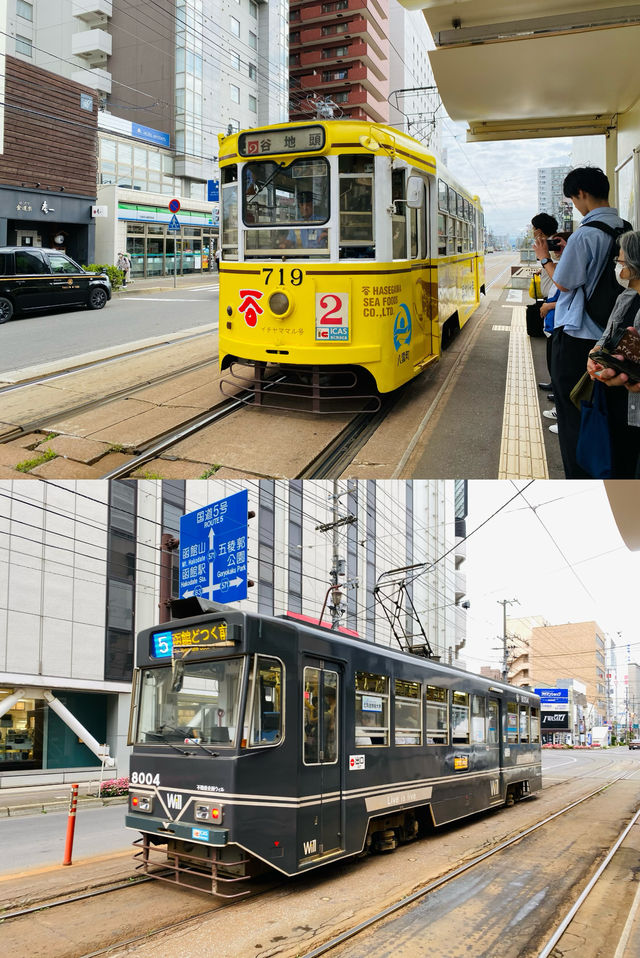 北海道 可愛的電車們。