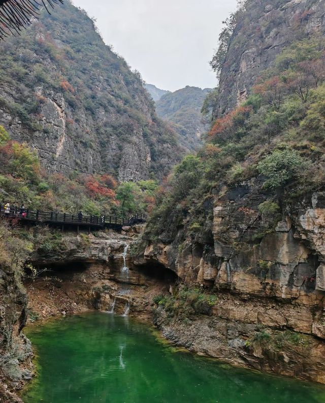 涉縣莊子嶺是一個去了就不想離開的地方。
