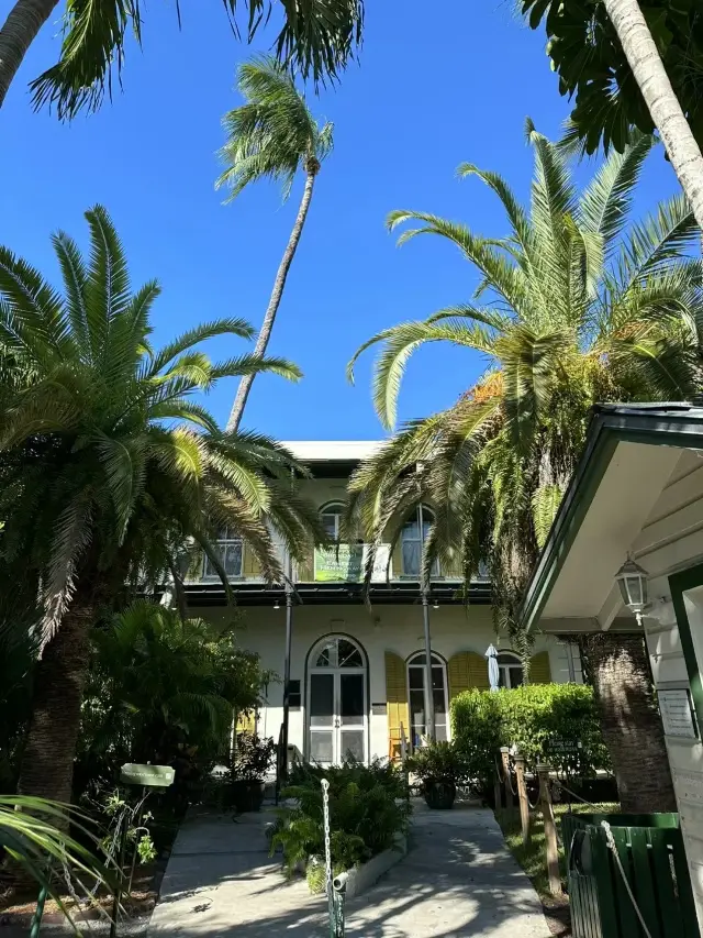 Miami | You'll miss the sunny beaches and vibrant colors.