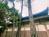 茗山寺探險指南：帶你走進神話與現實的交匯處。