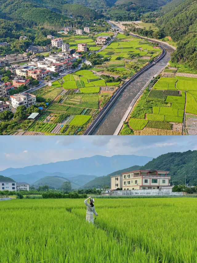 就在羅浮山腳下，廣東版去有風的地方。