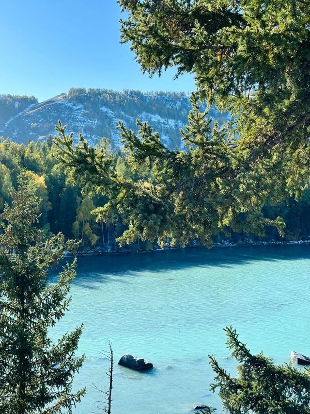 新疆喀納斯是一個美得令人窒息的地方。