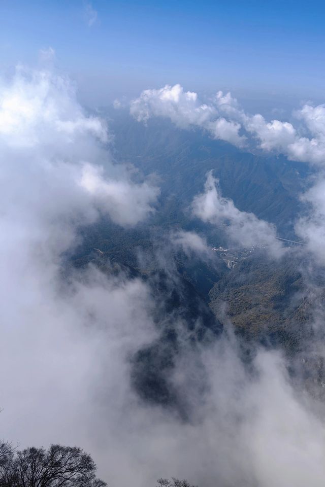 漢中龍頭山|仙境裡的綠色秘密。