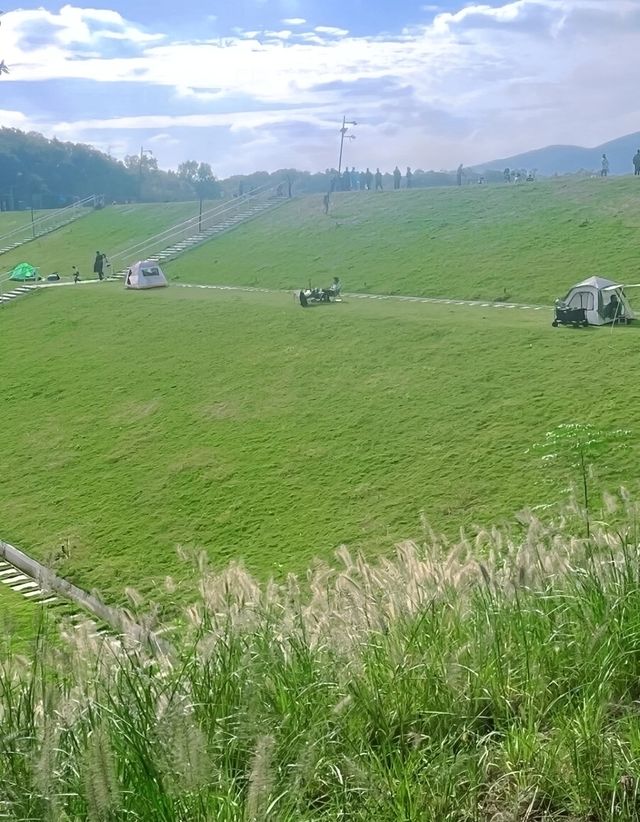 探索南京秘境：99%南京人都不知道的治癒系免費公園。