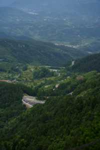 大崎山。