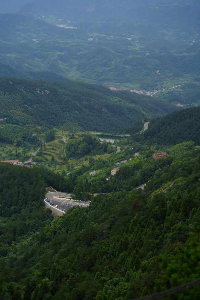 大崎山。
