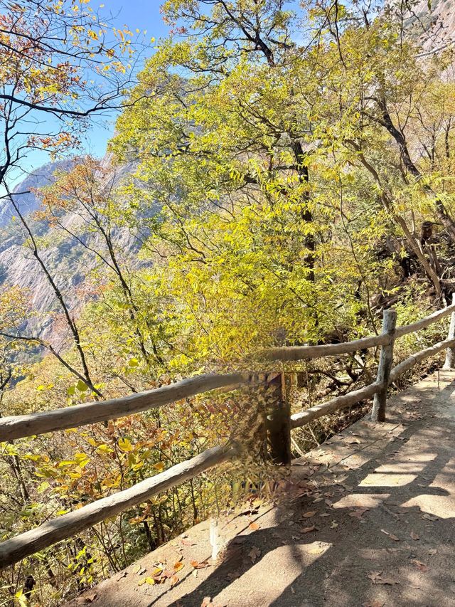 並非黃山！安徽這座山隱匿着一條絕美的賞秋路線。