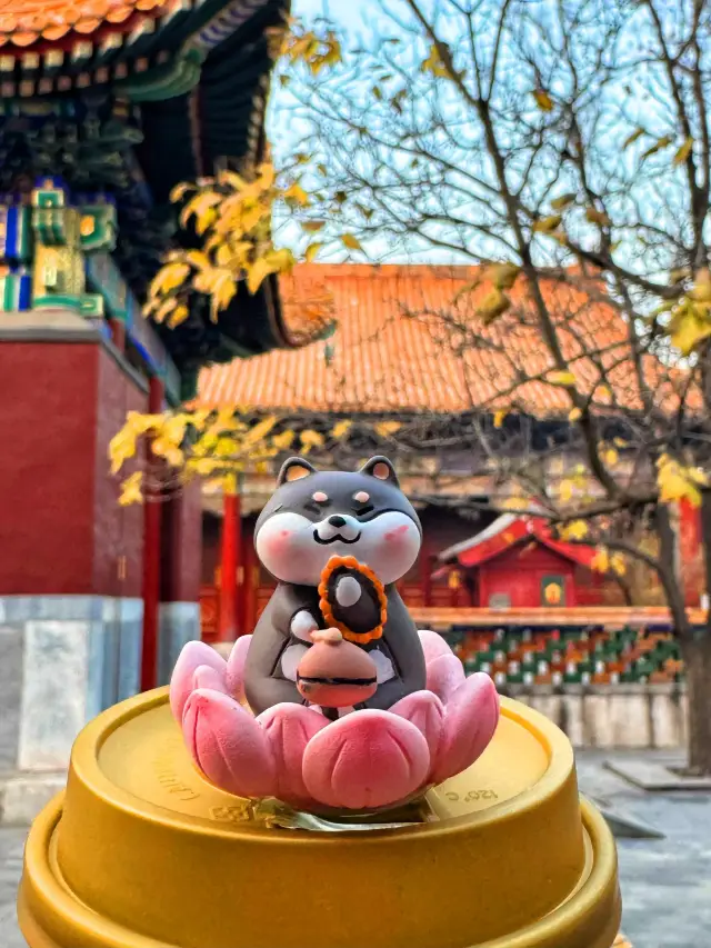 Who would have thought that I would be asked about my cute coffee all the way to Yonghe Temple? 