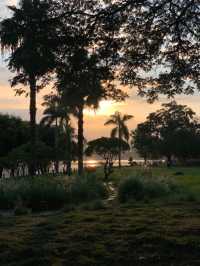 福州閩江公園|福州的浪漫，閩江公園佔一半。
