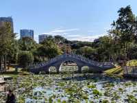 莆田綬溪公園 | 城市綠洲的詩意漫遊 。