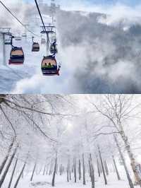 張家口崇禮滑雪攻略‖打卡避坑指南。