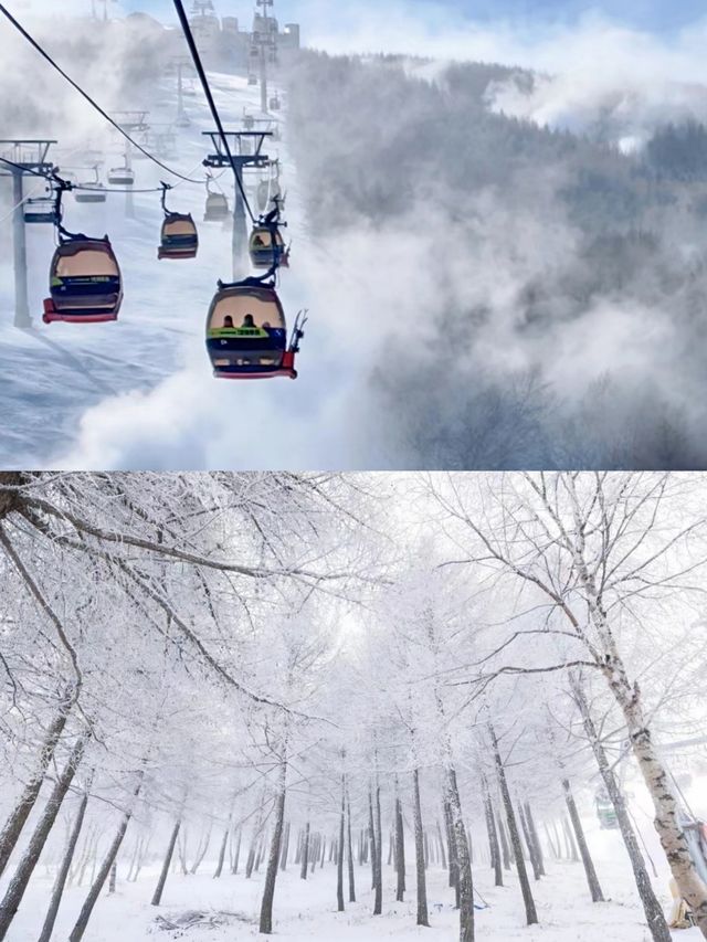 張家口崇禮滑雪攻略‖打卡避坑指南。